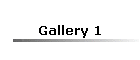 Gallery 1