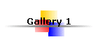 Gallery 1