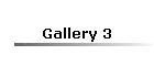 Gallery 3